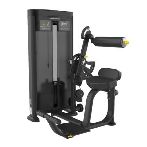 Back Muscle Trainer