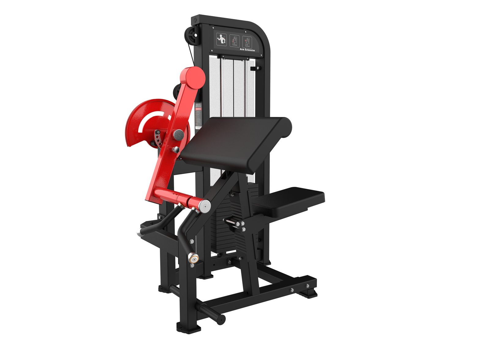 Bicep Curl Machine