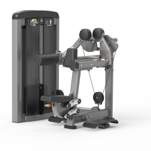 Delts Machine