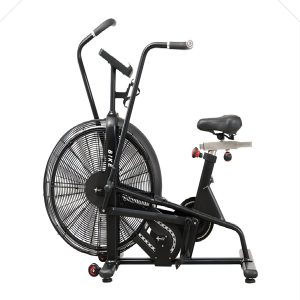 Fan Bike