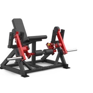 ISO-LATERAL LEG EXTENSION