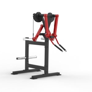 ISO-LATERAL STANDING LATERAL RAISE
