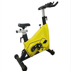 Kingdom Spin Bike