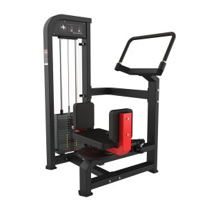 Kneeling Torso Rotation Trainer