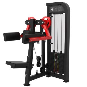 Lateral Raise Machine