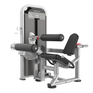 Leg Extension and Leg Curl Combined Trainer