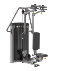 Pec Fly  and Rear Delt