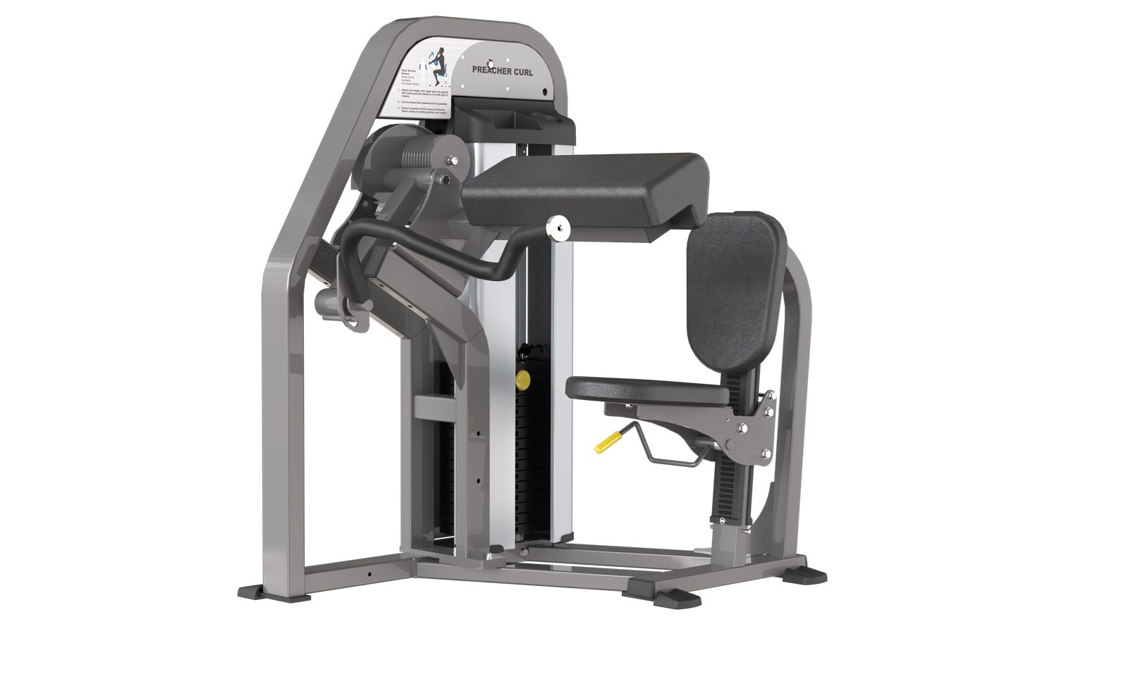 Preacher curl
