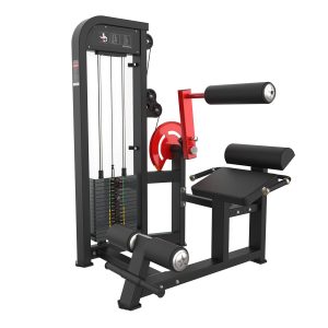 Seated Abdominal Machine