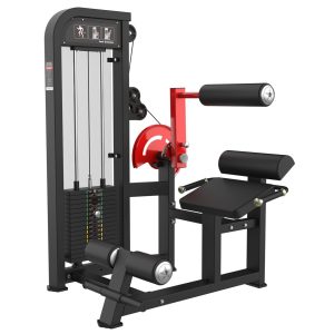 Seated Back Trainer