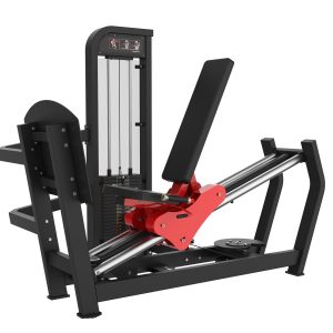 Seated Leg Press (2)