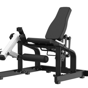 Sested Leg Extension
