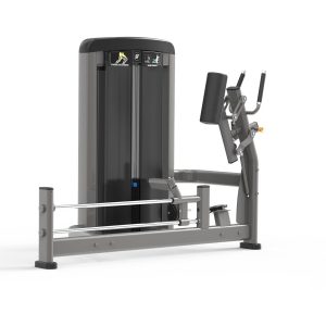 Standing Leg Extension