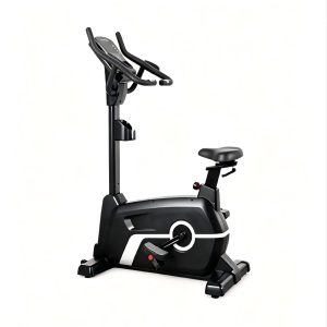 Upright Magnetic‑resistance Bike