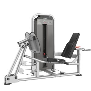 Model 21 (ZY Series)